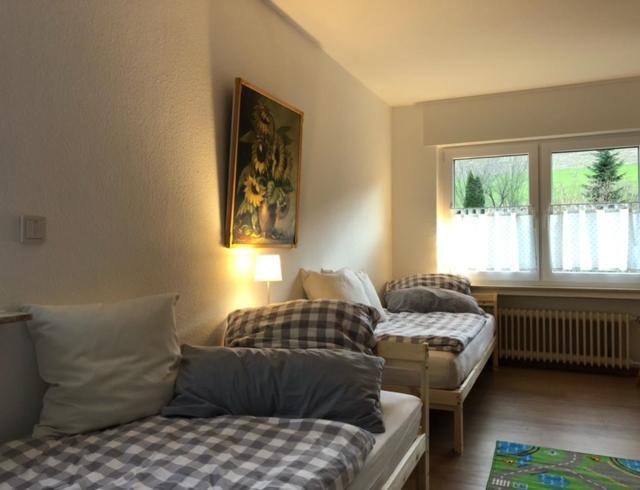 Ferienwohnung Paeusken Im Hochsauerland- E- Bike Und Auto Laden Moeglich بيستفيغ المظهر الخارجي الصورة